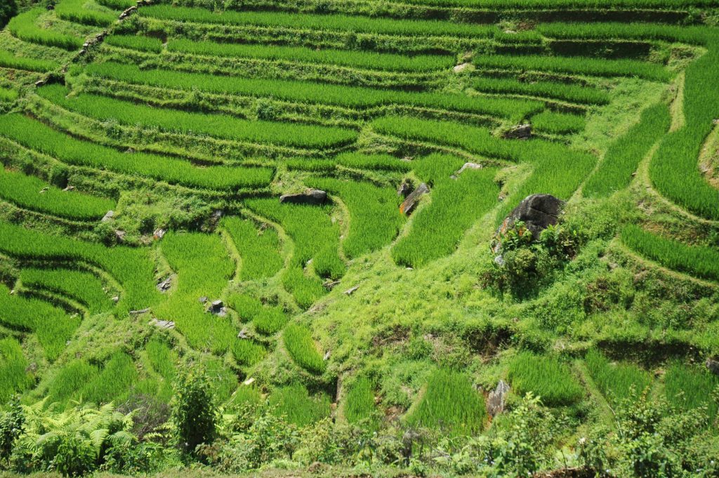 Hà Nội ↔ Sapa