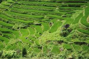 Hà Nội ↔ Sapa